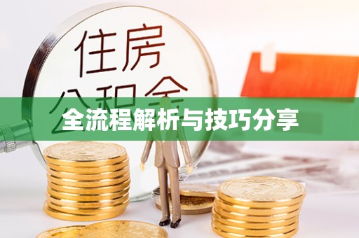 海淀全流程解析与技巧分享